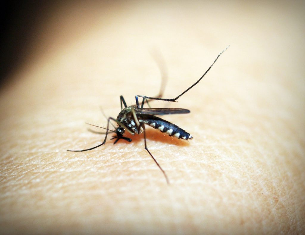 No one knows the secret to good breathing and sleeping peacefully without mosquitoes