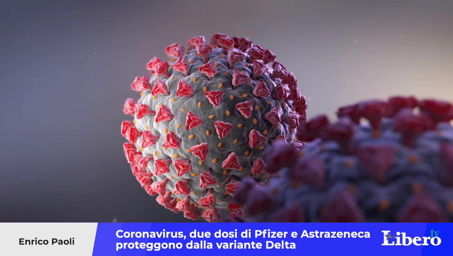 Coronavirus, two doses of Pfizer and Astrazeneca protect against a delta variant: the study that changes the picture