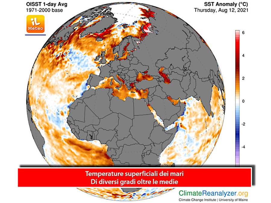 The seas are warmer than usual: up to 4-5°C above average 