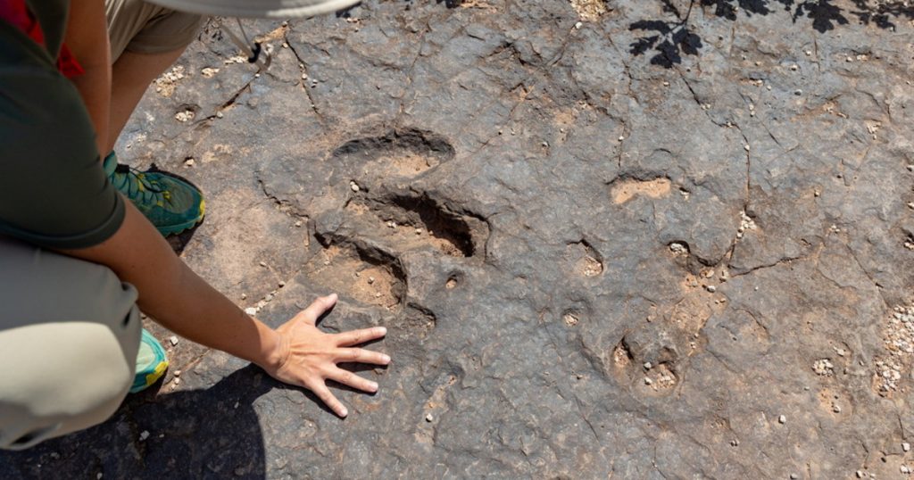 Finding footprints that rewrite history - Libero Quotidiano