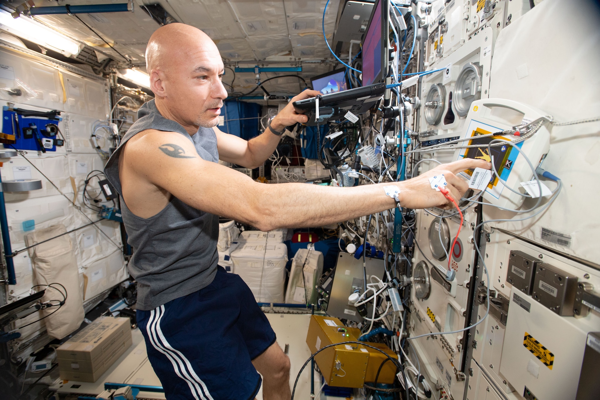 Astronaut Luca Parmitano during the first experimental phase of Project Nutris
