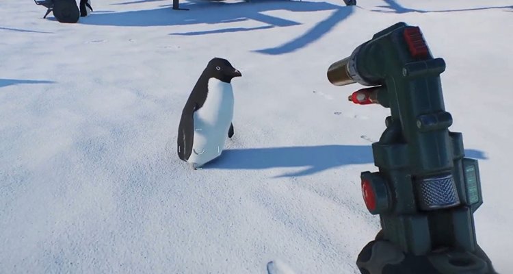 Penguins can be fixed, this bug entertains fans - Nerd4.life