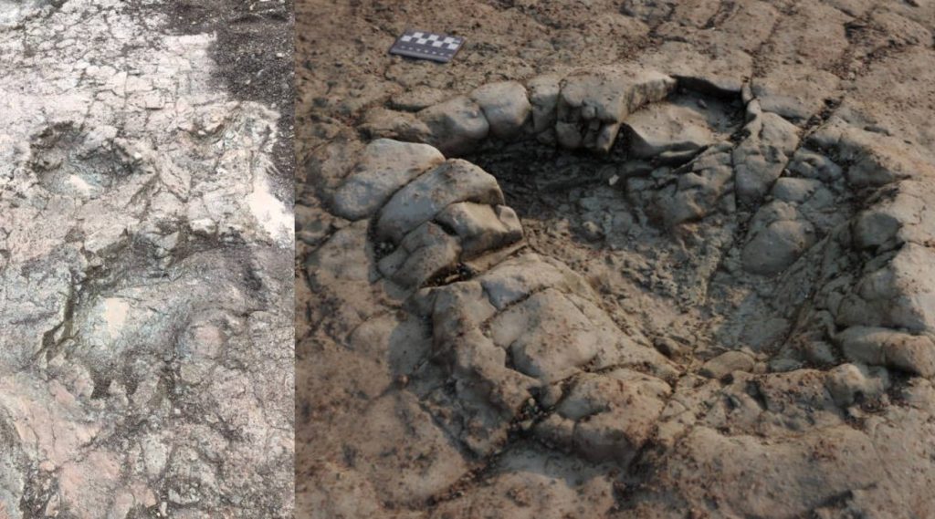 JB, a 200 million-year-old dinosaur footprint was found on the coast of Wales