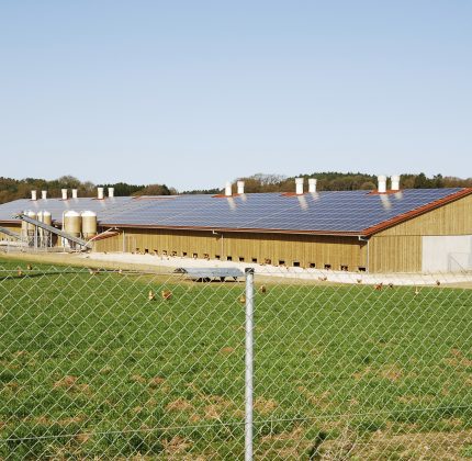 Green light for agricultural photovoltaic incentives
