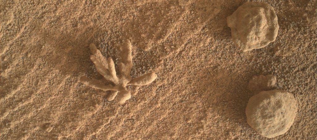 It looks like a flower but...Here's the amazing picture Curiosity took on Mars