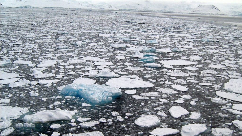 Scientists warned: "Soon the North Pole will be free of ice."  Europe fears "grave consequences".