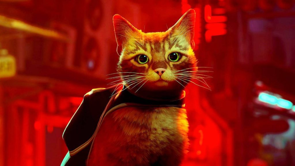 Stray, the developers present the real cats that inspired the protagonist - Nerd4.life