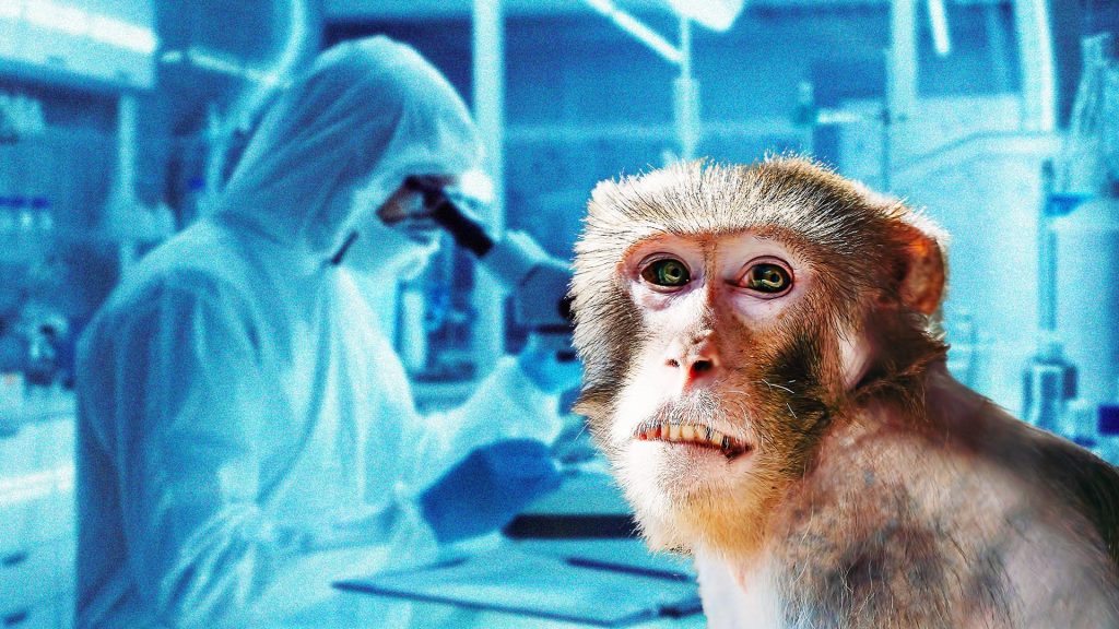 Monkeypox, in Campania 14 new cases in 7 days: Ministry Bulletin