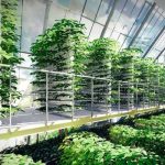Cultivation in Space: The launch of the first greenhouse is scheduled for the spring of 2023