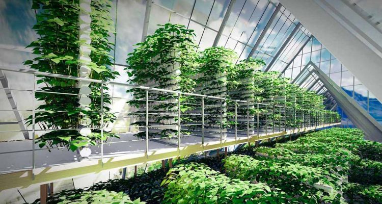 Cultivation in Space: The launch of the first greenhouse is scheduled for the spring of 2023