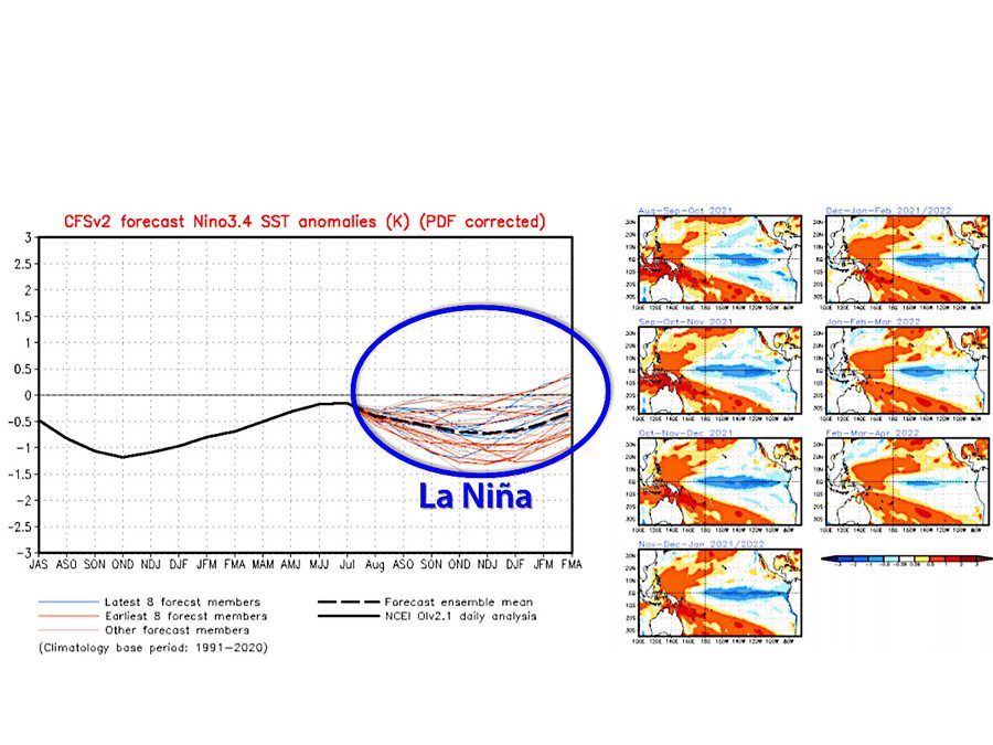 Pacific Ocean temperature anomaly (below -0.5°C): La Niña is coming