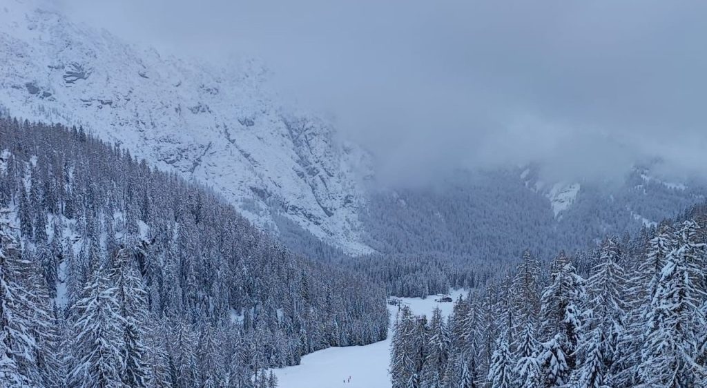 10 centimeters in the Val Soldana and Vicenza Pre-Alps.  Trentino has also been whitewashed
