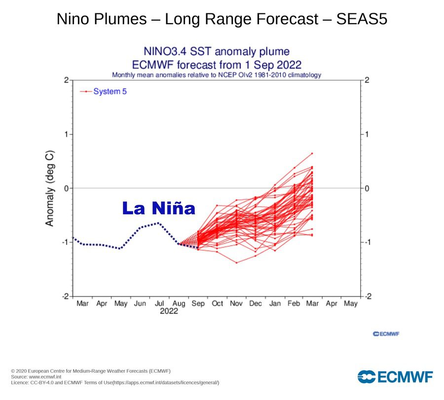 La Niña confirmed in the coming winter months (Source: ECMWF)